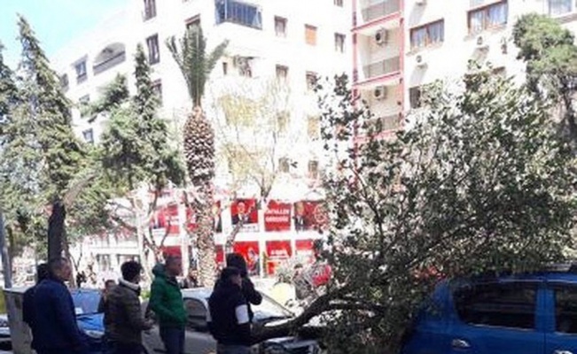 İzmir’de şiddetli fırtına: Çatılar uçtu, ağaçlar devrildi