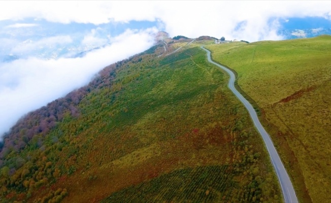 Karadeniz'de yolculuk yeşile dönüyor