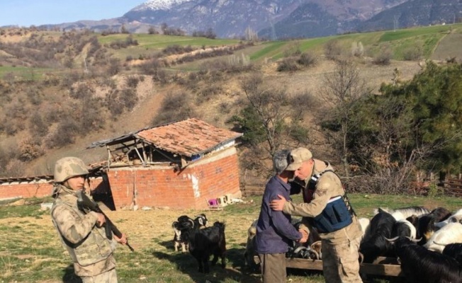 Kayıp keçileri jandarma buldu