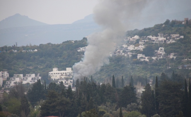 Muğla’da korkutan yangın