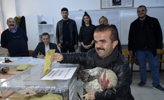 Oy kullanmaya çilli horozuyla geldi