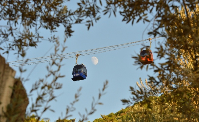 Teleferikte mola bitti