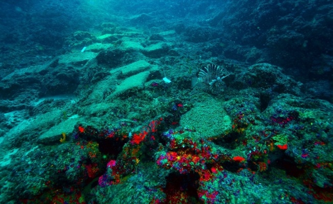 Antalya'da 3 bin 600 yıllık gemi batığı bulundu