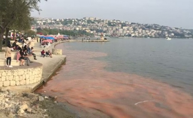 Büyükçekmece’de deniz turuncuya döndü