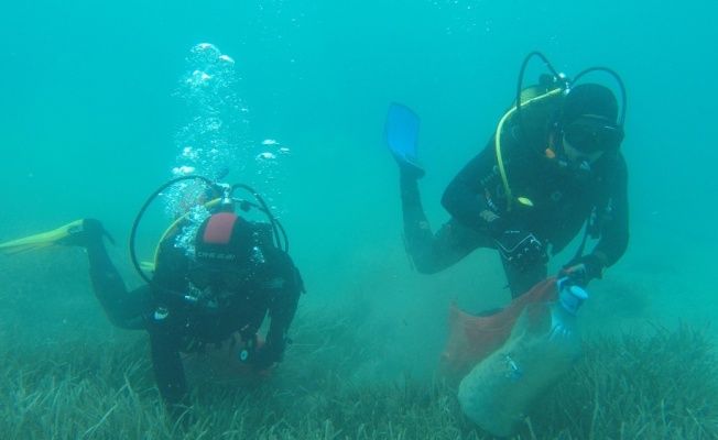 Gölköy’de deniz dibi temizliğine devam