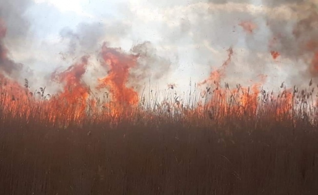 İznik’te sazlık yangını