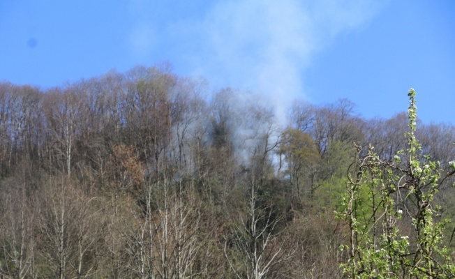 Rize’de ormanlık alanda yangın