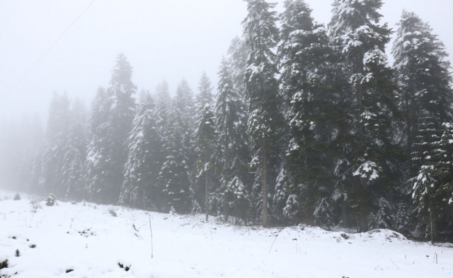 Bolu’da yüksek kesimlere kar yağdı