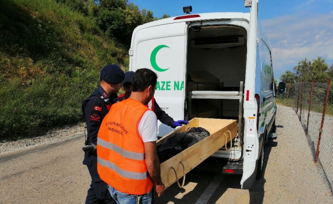 Çanakkale’de sahilde çocuk cesedi bulundu