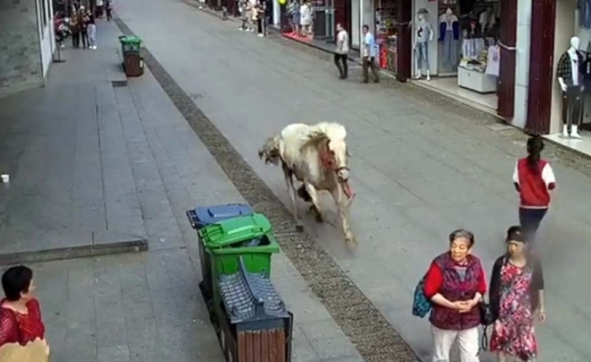 Çin’de hızla koşan at yayaları ezdi