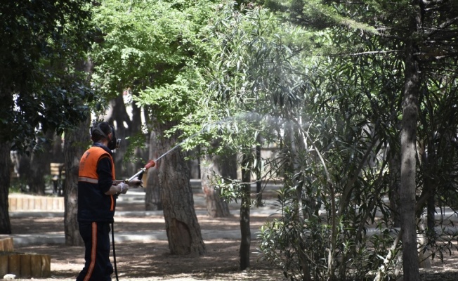 Havalar ısındı ilaçlama başladı