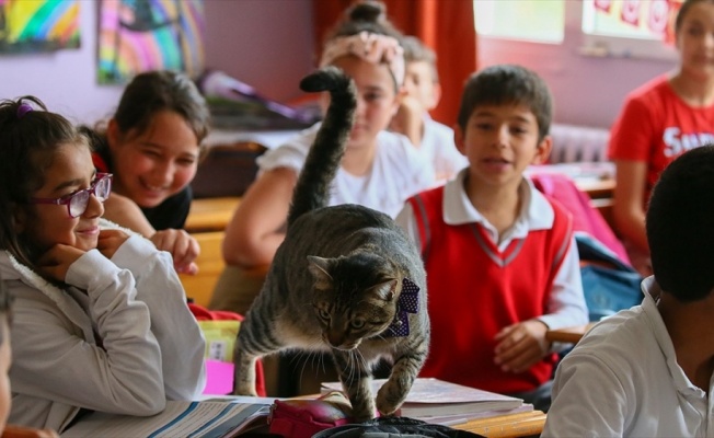 Öğrencilerin motivasyonu 'Ateş' ile arttı