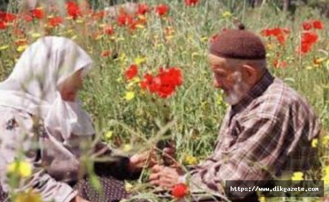 Canım efendim, sultanım benim..