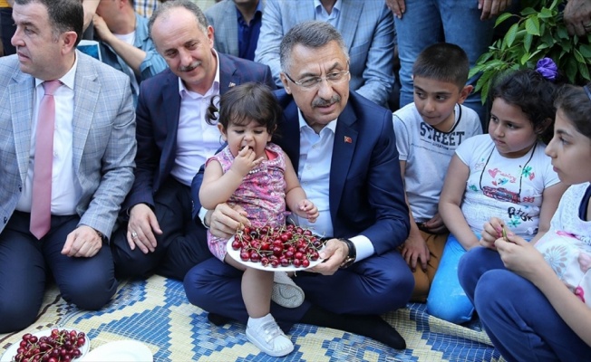 Cumhurbaşkanı Yardımcısı Oktay kiraz hasadı etkinliğine katıldı