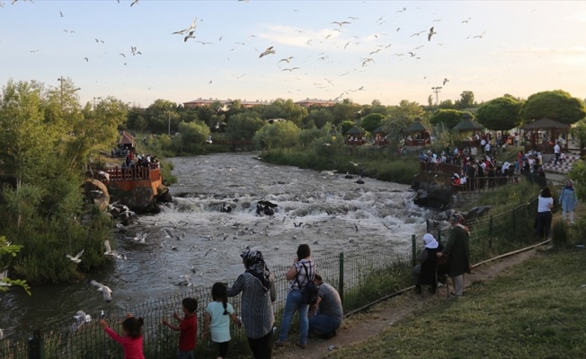 'Doğunun incisi' Van turistleri cezbediyor