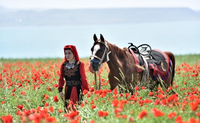 Gelincik tarlaları doğal fotoğraf stüdyosuna dönüştü