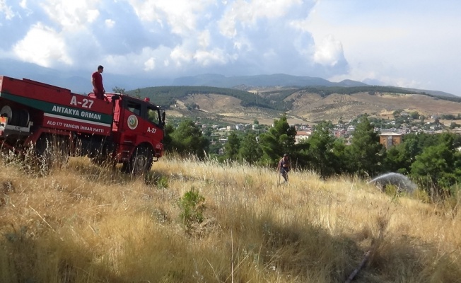 Hatay’da orman yangını