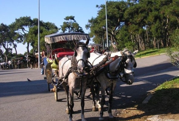 İzmir’in o ilçesinde faytonların kullanımı yasaklandı