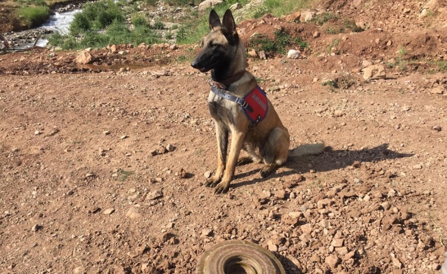 Terör mensuplarınca yola tuzaklanmış anti tank mühimmatı imha edildi