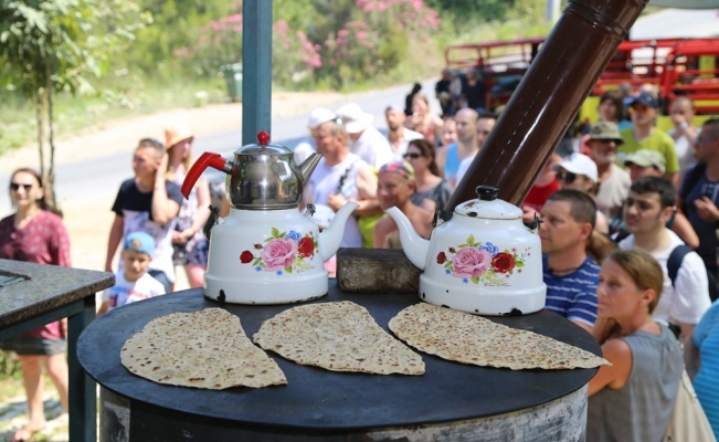 Turistlerin olmazsa olmazı safari turları