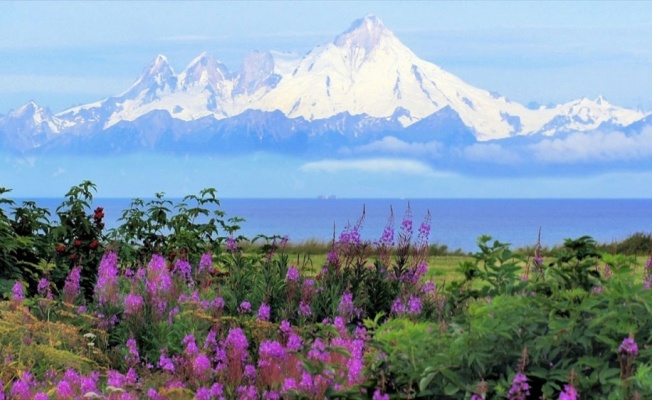 Alaska'da tüm zamanların sıcaklık rekoru kırıldı