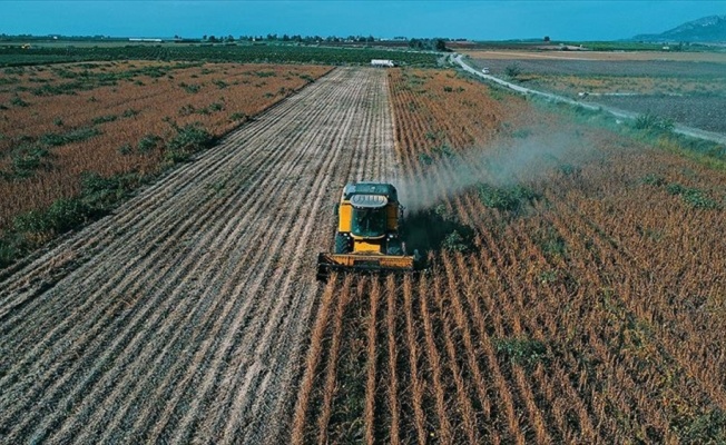 Çiftçiye 1,2 milyar liralık destek ödemesi