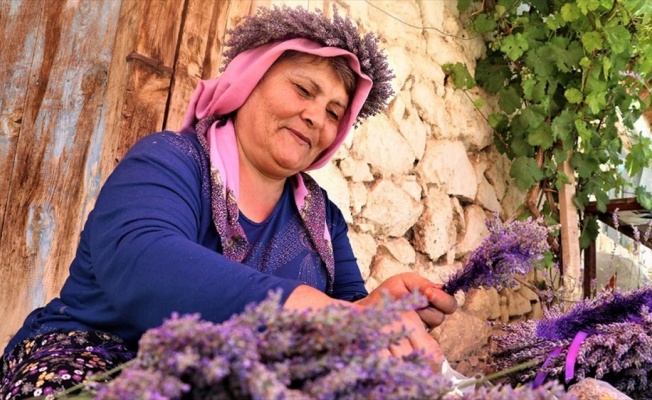 Kuyucaklı kadınların ekmek kapısı 'lavanta'