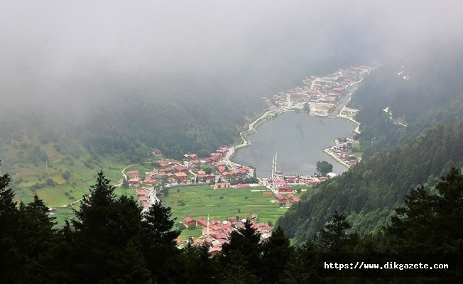 Uzungöl'de kaçak yapılar yıkılacak