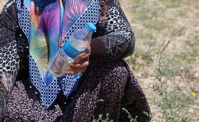 Tarladan nohut aldı, parasını pet şişe içinde bıraktı