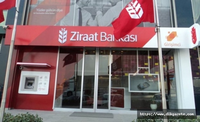 Ziraat Bankası'nın seracılık kredi paketine yoğun ilgi sürüyor