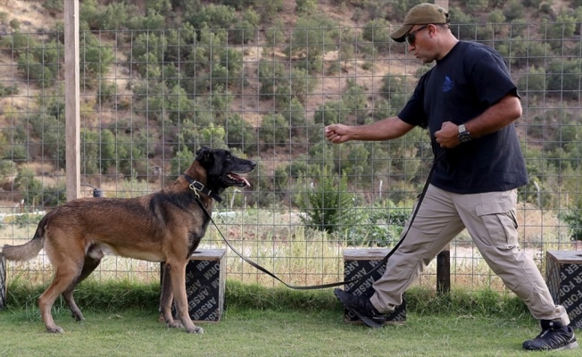 18 yılda 150 arama kurtarma köpeği yetiştirdi