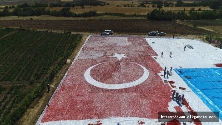 Kurutmaya bırakılan domateslerden ay yıldız