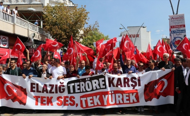 'Teröre Lanet, Kardeşliğe Davet' mitingleri