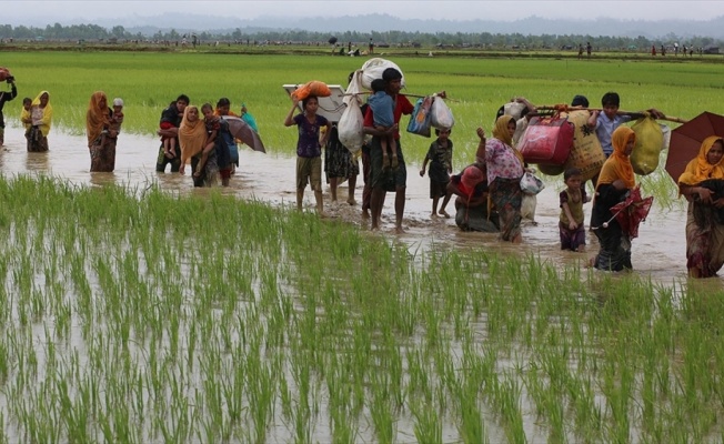 Bangladeş 100 bin Arakanlı Müslüman'ı adaya yerleştirecek