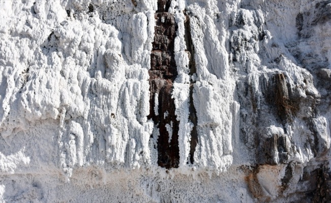 'Delice tuzu' mineral açısından zengin çıktı