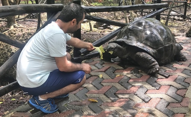 Dev kaplumbağalarıyla ünlü eski köle adası: Changuu