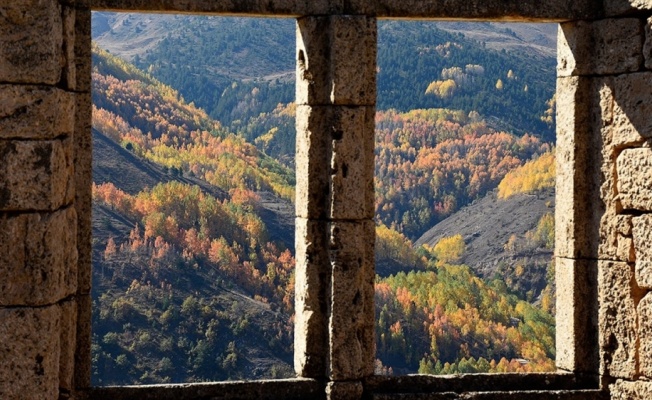 Doğu Karadeniz 'güz renkleri' ile bir başka güzel