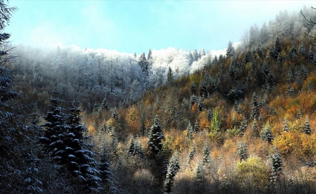 Kastamonu'da sonbaharın renk cümbüşü