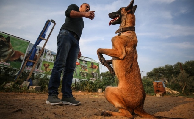 Gazze'de ablukaya rağmen hayalindeki köpek eğitim okulunu açtı