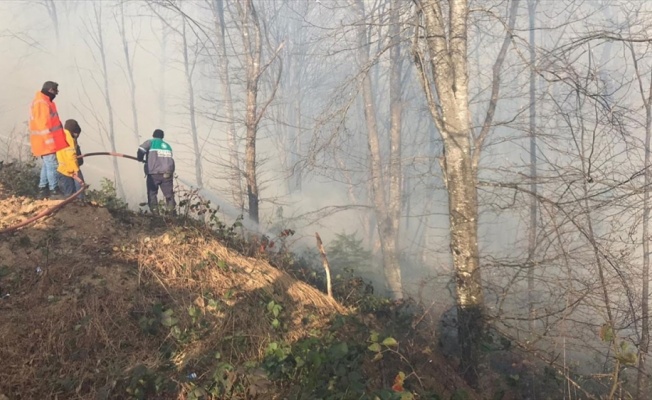 Karadeniz Bölgesi'ndeki tüm yangınlar kontrol altına alındı