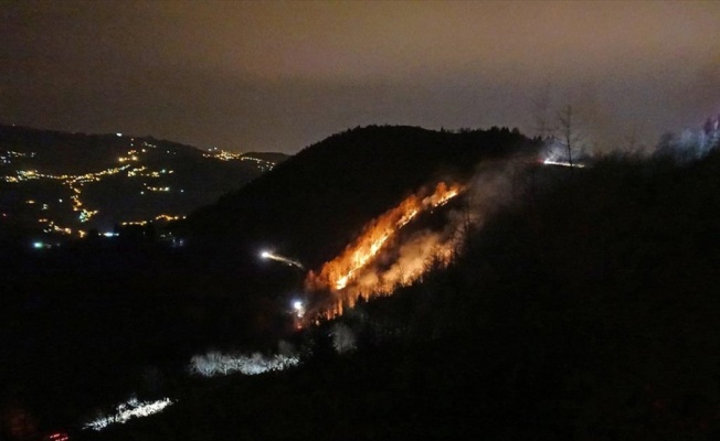 Trabzon'da 100 dönümlük alanda örtü yangını çıktı