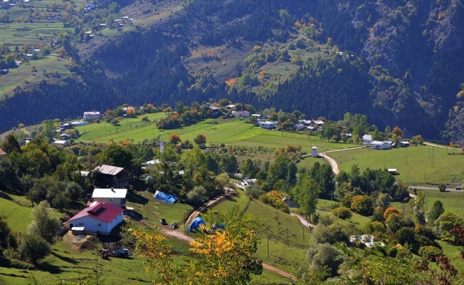 Doğu Karadeniz için 20 milyon liralık destek paketi