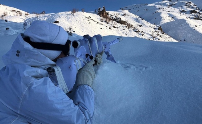 Hakkari'de 'Kapan-3 Kavaklı Operasyonu' başlatıldı