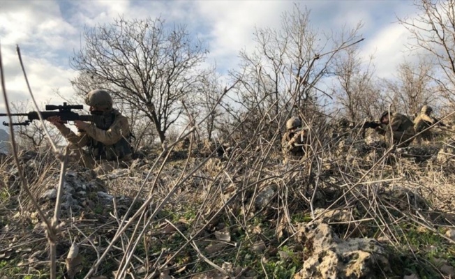 Mardin'de 'KAPAN-1 BAGOK' operasyonu başlatıldı