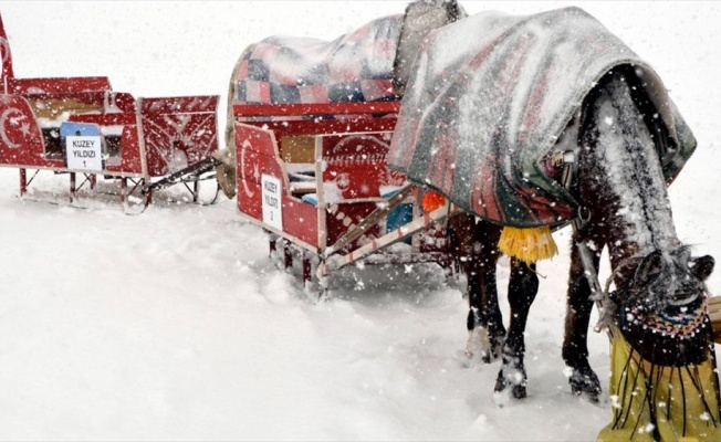 Çıldır&#039;ın sembolü atlı kızakçılara kar engeli