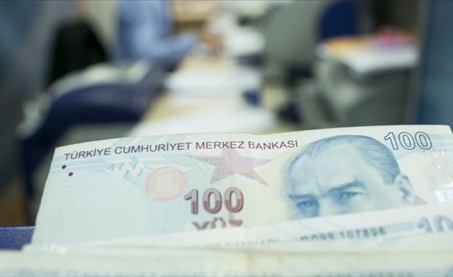 Hanelere 1000'er lira desteğin başvuru detayları belli oldu