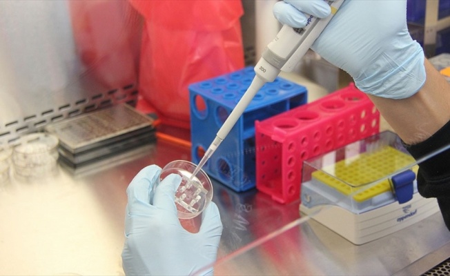 Kovid-19 tanısında en güvenilir sonucu PCR testi veriyor