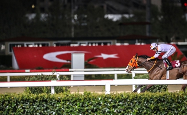 Atçılık camiasından yarışların başlatılması talebi