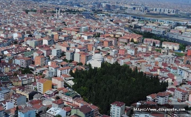 Kıyamet ve ağaç dikmek…