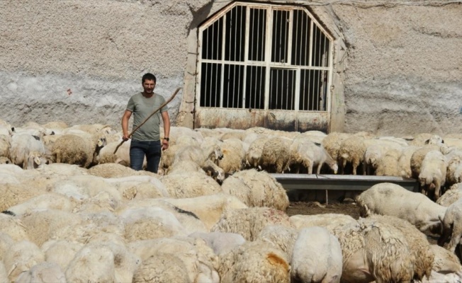 Hobi olarak başladığı besicilikteki başarısı örnek oldu